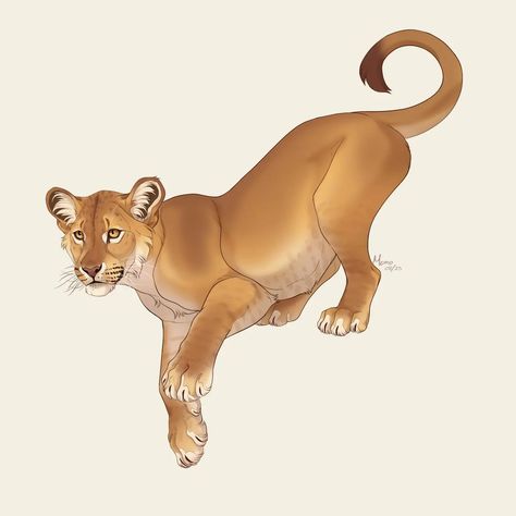 Female Lion Art, Lioness Character Design, Lioness Drawing, Lion Oc, Lioness Art, Big Cats Drawing, Lion King Drawings, Female Lion, Cats Art Drawing