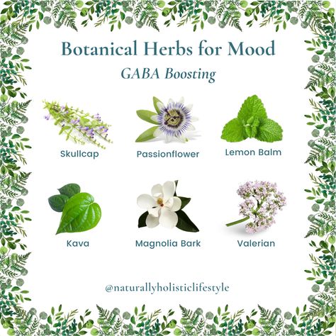 Botanical Herbs for Mood Herbs For Mood, Botanical Herbs, Kava Kava, Bacopa Monnieri, Naturopathic Medicine, Diy Remedies, Integrative Medicine, Holistic Medicine, Valerian