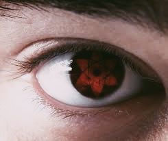 Sasuke Uchiha Sasuke Eyes, Sasuke Sharingan, Shino Aburame, Naruto Team 7, Naruto Teams, Uchiha Sasuke, Reborn Katekyo Hitman, Naruto Series, Sarada Uchiha