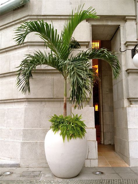 Round Sofas, Fullerton Hotel Singapore, Fullerton Hotel, Rock Planters, Tub Deck, Hot Tub Deck, Hotel Exterior, Modern Planter, Flower Pot Design