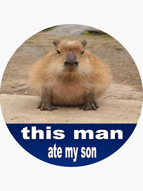 This Man Ate My Son, Mas Bro Capybara, Capybara Mas Bro, On My Puter Capybara, Masbromeme Capybara, Capybara Memes Funny, Little Critter, This Man, Sticker Design