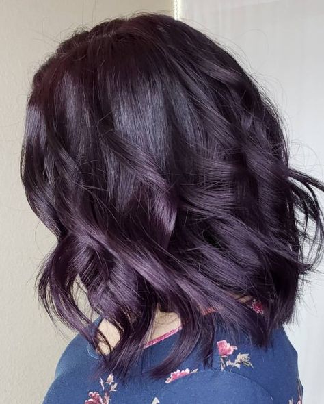 Winterberry Hair Color, Dark Brown Hair With Purple Lowlights, Dark Plum Black Hair, Ion 4vv Plum Hair Color, Deep Eggplant Hair Color, Plum Brown Hair Color With Highlights, Plum Highlights On Black Hair, Dark Hair Colour Ideas For Short Hair, Dark Eggplant Hair Color