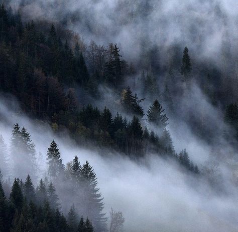 Rocky Mountain Gothic, Shape Of Water, Dark Naturalism, Aesthetic Material, Mountains Aesthetic, Red Forest, Snow Mountains, Dark Things, Dragon King