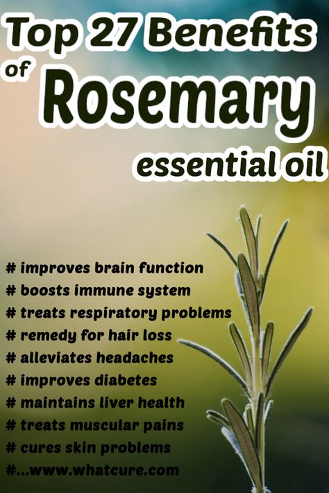 Rosemary Essential Oil Benefits, Benefits Of Rosemary Essential Oil, Rosemary Oil Benefits, Benefits Of Rosemary Oil, Essential Oils For Memory, Benefits Of Rosemary, Medicine Recipes, Herbal Garden, Cannibis Recipes