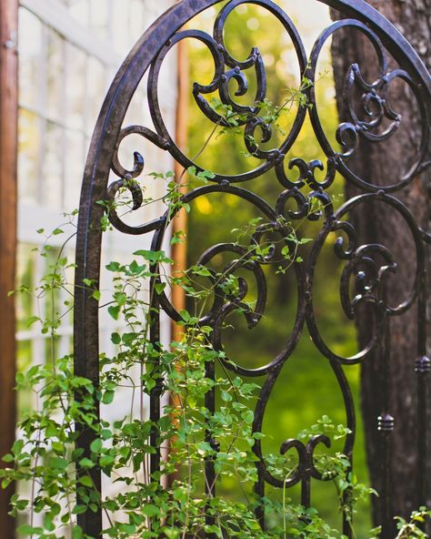 Are you a garden enthusiast looking to add a touch of elegance and functionality to your outdoor space? A freestanding trellis can be a great choice. These versatile structures are perfect for supporting climbing plants, adding privacy, and creating beautiful garden focal points. Shop H Potter today. #metalgardentrellis #rosesofinstagram #gardenlovers #gardeninglife #gardendecor #gardeninspo #gardenideas #gardenstyle #gardenbeauty #gardenphotography #gardensofinstagram #outdoorgardening #ho... Iron Window Boxes, Wrought Iron Window Boxes, Wrought Iron Trellis, Wrought Iron Scrollwork, Tall Garden Trellis, Wrought Iron Window, Clematis Trellis, Patio Wall Decor, Iron Trellis