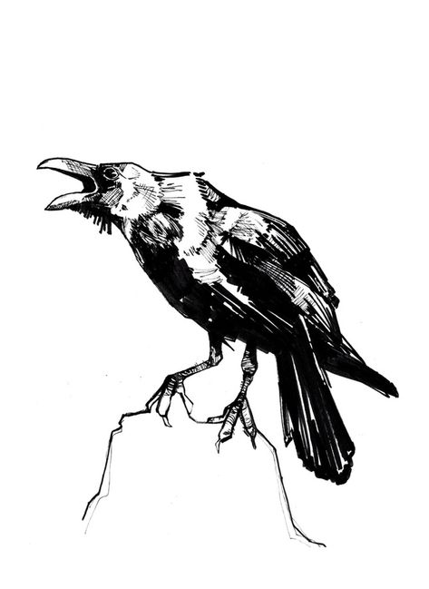 Raven Call, an art print by Crystal Smith - INPRNT - prints available  marker, felt and ink drawing of a raven or crow. #ravenart #raven #crow #crowart #inkdrawing Raven Sketch, Raven Drawing, Crow Drawing, Ink Sketching, Raven Pictures, City Portraits, Crows Drawing, Raven Bird, Crow Art