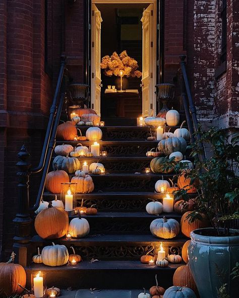 JOSH YÖUNG on Instagram: “Hello Autumn 🖤 . . . . . . . . . #autumn #joshyoungdesignhouse #washingtondc #dc #fall #artisthome #townhouse #townhome #entry #interior…” Porche Halloween, Halloween Entryway, Fall Front Door Decor, Inktober 2023, Classy Halloween, Decor 2023, Halloween Front Porch Decor, 2023 Halloween, Halloween Front Porch