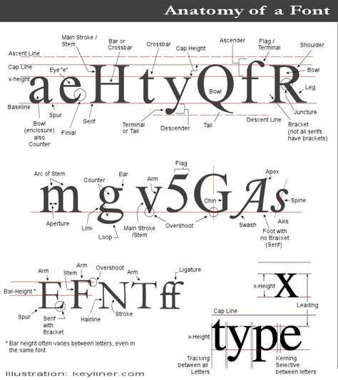 anatomy of font Typography Anatomy, Font Anatomy, Finials, Anatomy, Typography, Quick Saves