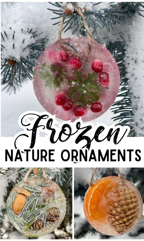 Frozen Nature Ornaments - In The Playroom Diy Nature Ornaments, Winter Nature Crafts For Kids, Nature Ornaments Diy Kids, Diy Frozen Christmas Ornaments, Turkey Headband Craft, Nature Ornaments, Frozen Ornaments, Yarn Monsters, Crystal Bead Snowflake Ornament