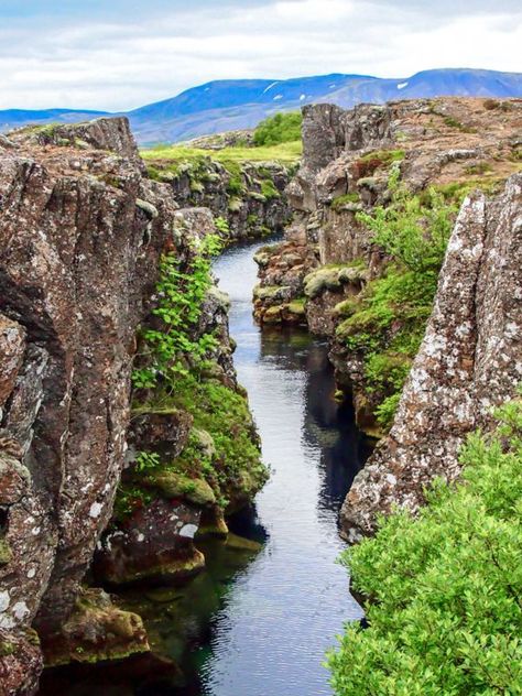 Thingvellir National Park Iceland Island, Melbourne Airport, Malaga Airport, Thingvellir National Park, Foreign Travel, Iceland Reykjavik, Reykjavik Iceland, Travel Log, Europe Tours