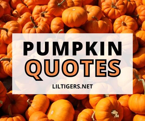 100 Best Pumpkin Quotes and Sayings Carving Quotes, Pumpkin Puns, Patch Quotes, Pumpkin Poem, Fall Mason Jar Crafts, Pumpkin Quotes, Pumpkin Books, Pumpkin Eater, Pumpkin Activities