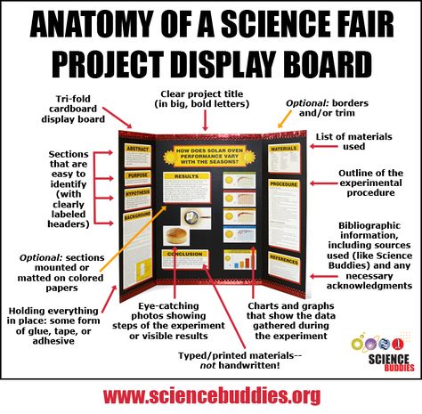 The Project Display Board is a key part of the #science fair project. Get a great visual look at important tips and reminders for putting together a great board. [Source: Science Buddies, http://www.sciencebuddies.org/blog/2015/03/putting-together-a-project-display-board.php?from=Pinterest] #STEM #scienceproject #Elmers Science Project Ideas Middle School, Cute Science Fair Boards, Science Fair Boards, High School Science Projects, Science Fair Display Board, High School Science Fair, Science Project Board, Project Display Boards, Science Fair Board