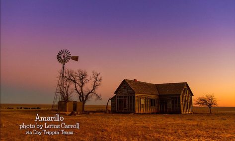 Hd Landscape, Farmhouse Wallpaper, Texas Farm, Old Abandoned Houses, In The Middle Of Nowhere, Middle Of Nowhere, High Resolution Wallpapers, Old Barns, Old Farm