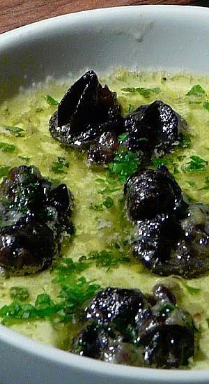 Escargot Recipes, Snail Recipes, Escargot Recipe, Snails Recipe, Traditional French Recipes, French Cooking, Appetizer Dips, Fish Dishes, Seafood Dishes