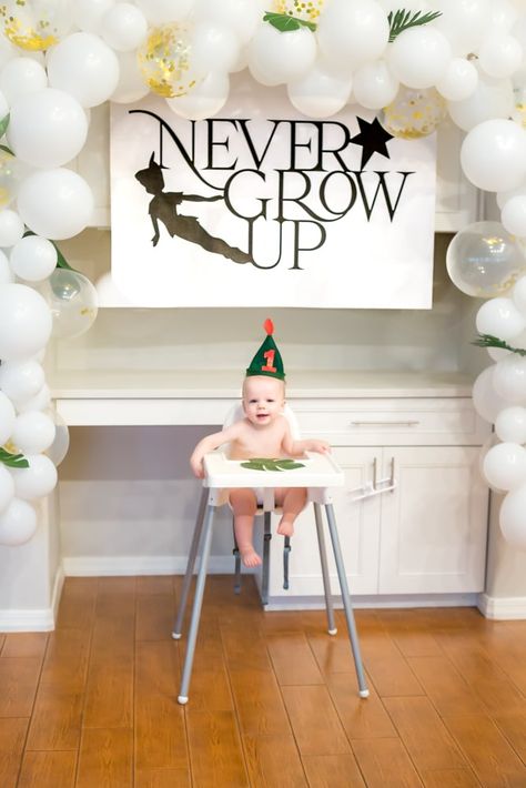 How to create a Peter Pan Birthday on a budget! This Never Grow Up 1st Birthday party shares Decoration, food, and theme tips to take your child to Neverland in a Peter Pan Birthday party. #1stbirthday #peterpanparty #boyspartyidea Onederland Peter Pan Birthday Party, Never Grow Up Peter Pan First Birthday, Peter Pan In One-derland, Peter Pan Never Grow Up Birthday, Outside 1st Birthday Party Ideas, Never Grow Up First Birthday, Peter Pan Onederland Party, Disney Theme Birthday Party For Boys, Peter Pan Birthday Theme