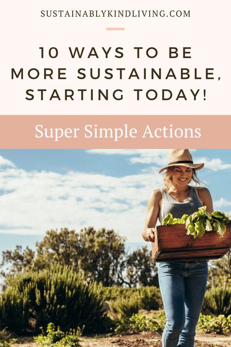 10 ways to be more sustainable, starting today! • Sustainably Kind Living Sustainable Living Aesthetic, Green Adventure, Plastic Free Life, Be More Sustainable, Energy Vampires, Water Packaging, Beautiful Adventure, Aesthetic Diy, Zero Waste Kitchen