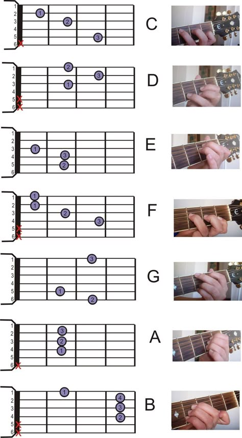 Akordy Na Ukulele, Basic Guitar Chords Chart, Guitar Chords Chart, Bass Guitar Chords, Acoustic Guitar Chords, Guitar Cord, Learn Guitar Chords, Basic Guitar Lessons, Easy Guitar Songs