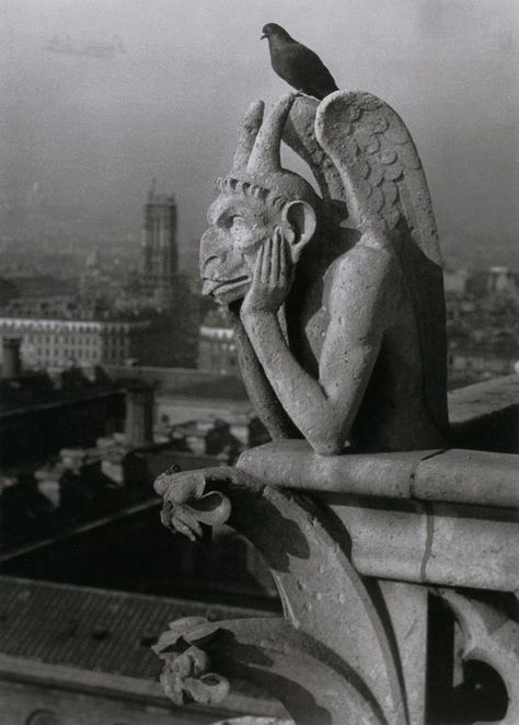 A gargoyle of Notre Dame Cathedral Notre Dame Gargoyles, Gargoyles Art, Gothic Gargoyles, Architectural Sculpture, Gothic Architecture, White Photo, Art Plastique, Book Photography, Pigeon