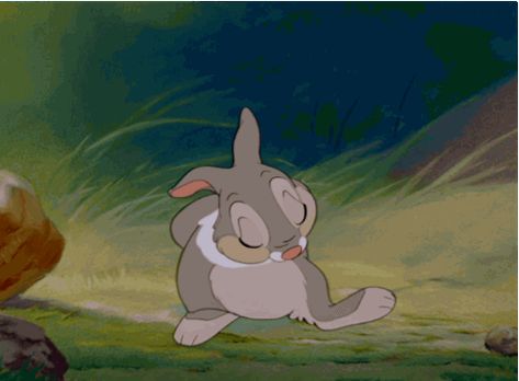 Bambi 1942, Walt Disney Movies, Animiertes Gif, Bambi And Thumper, Disney Cats, Disney Gif, Disney Favorites, Pinturas Disney, Cartoon Gifs