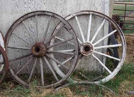 antique wagon wheels | Antique Wagon Wheels For Sale Antique Wagon Wheels, Antique Wagon, Wagon Wheels, Wheels For Sale, Wagon Wheel, Holiday Decorations, Stuff To Buy, Wheel, Holiday Decor