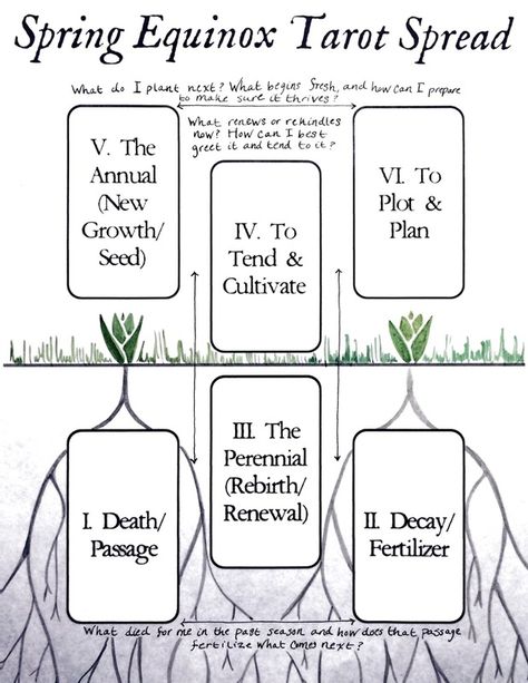 A contemplative tarot spread inspired by the Vernal Equinox and gardening. Equinox Tarot Spread, Full Moon Tarot, Full Moon In Sagittarius, Tarot Card Spreads, Tarot Tips, Tarot Spread, Vernal Equinox, Spring Equinox, Tarot Learning