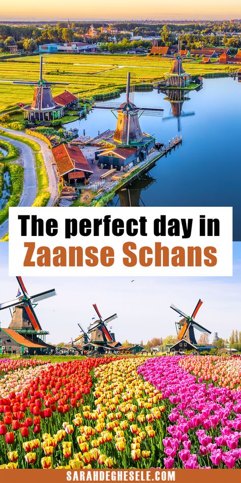 The Perfect Day Trip to Zaanse Schans | zaanse schans | zaanse schans netherlands | zaanse schans photography | zaanse schans windmills | zaanse schans photoshoot | amsterdam zaanse schans | zaanse schans map | zaanse schans travel | day trip to zaanse schans | things to do in zaanse schans | #zaanseschans Plan A Day, Rhine River Cruise, Zaanse Schans, European Travel Tips, Austria Travel, Netherlands Travel, Amsterdam Travel, European Vacation, Europe Travel Guide