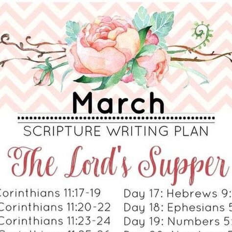 Proverbs_31life on Instagram: "Here are the March 2024 Scripture Writing Plans!
1) grab a Scripture writing journal from Amazon if you haven’t already (link in story & bio.)
2) choose a plan to follow for the month. 
3) ask a friend to do it with you. 

#scripture #scripturewriting #scripturewritingplan #march #march2024 #biblestudy #getintheword 
@kingdombloggers @theruffledmango" August Scripture Writing Plan 2024, 2024 Scripture Writing Plans, March Scripture Writing Plan 2024, June Scripture Writing Plan 2024, April Scripture Writing Plan, Hebrews 9, Scripture Writing Plans, Writing Plan, Biblical Inspiration