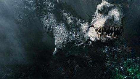 Indominus Rex Wallpaper, Jurassic World Indominus Rex, Jurassic World Wallpaper, Jurassic World 2015, Indominus Rex, Dinosaur Images, Jurassic World Fallen Kingdom, Jurassic World Dinosaurs, Falling Kingdoms