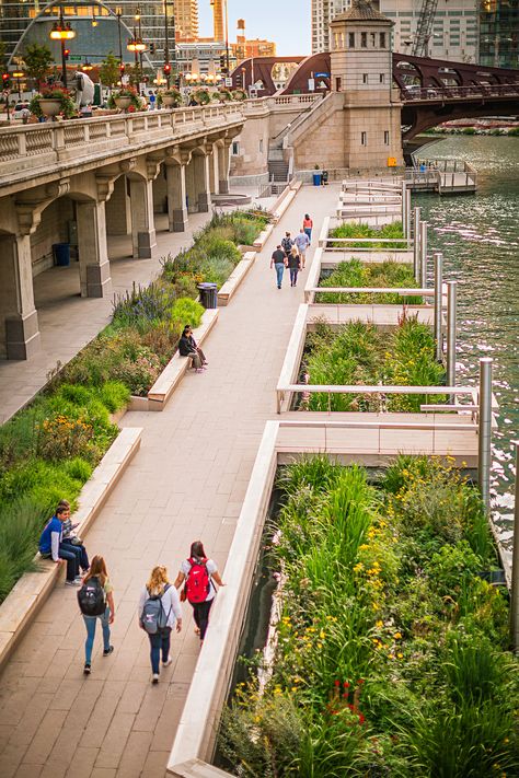 Riverfront Design, Promenade Design, Chicago Sights, Seaside Design, Greenhouse Restaurant, Green Cities, Waterfront Architecture, Chicago Landscape, Landscape And Urbanism Architecture