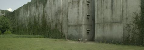 Thomas and the Gladers have escaped the Maze. But what was Group B's side of the story? New Maze Runner, Maze Runner 1, Maze Runner The Scorch, Maze Runner Movie, The Scorch Trials, Maze Runner Series, The Maze Runner, Runners World, Watch Tower