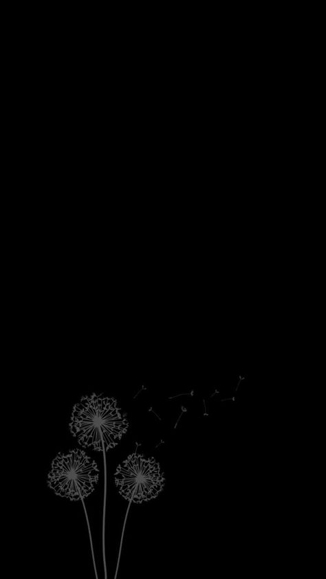 Dandelion Wallpaper, Black Paper Drawing, Black And White Art Drawing, Cute Black Wallpaper, Witchy Wallpaper, Simple Phone Wallpapers, Simple Iphone Wallpaper, Plain Wallpaper, Dark Phone Wallpapers