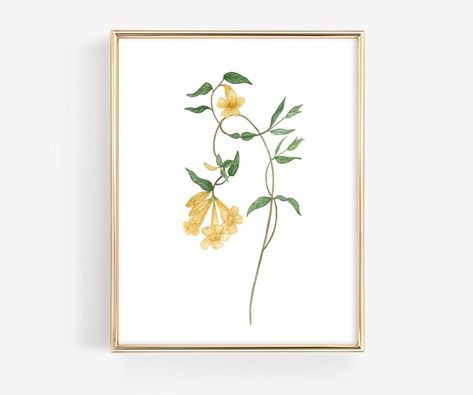 Yellow Jessamine Art Print Wildflower Art Print Giclée Fine - Etsy Jessamine Flower, Yellow Jessamine, Art For Gallery Wall, Wildflower Watercolor, Flower Art Print, Vintage Botanical Prints, Farmhouse Art, Butterfly Painting, Print Painting