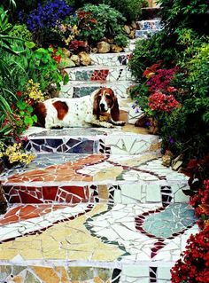 Mosaics - Stair Risers Mosaic Stairs, Mosaic Walkway, Easy Mosaic, Rocks Landscaping, Mosaic Stepping Stones, Mosaic Pots, Side Yards, Garden Stairs, Front Yards