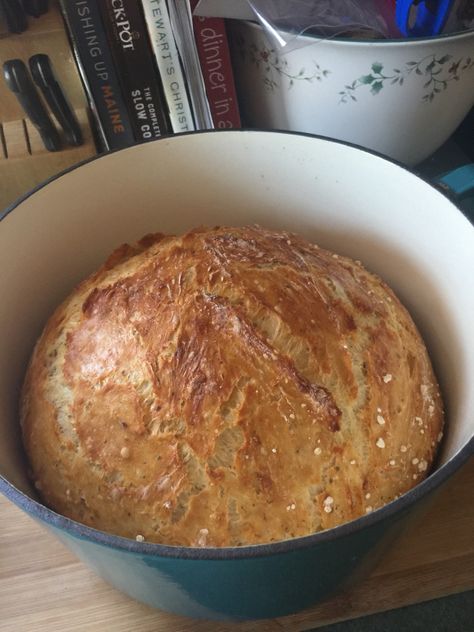 Bread Recipe Dutch Oven, Recipe Dutch Oven, Jessica In The Kitchen, Ciabatta Bread Recipe, Crusty Bread Recipe, Italian Bread Recipes, Oven Bread, Dutch Oven Bread, Homemade Bread Recipes Easy