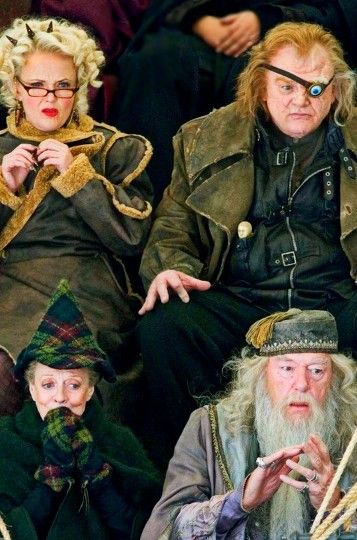 Rita Skeeter, Michael Gambon, Harry Potter Poster, The Goblet Of Fire, Images Harry Potter, Maggie Smith, Goblet Of Fire, Harry Potter 2, Lord Voldemort