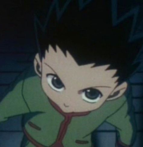 Hunter X Hunter Funny, Hunterxhunter Funny, Gon Freecss, Anime Hunter, Hxh Characters, Hunter Hunter, Hunter Anime, Anime Oc, Funny Anime Pics