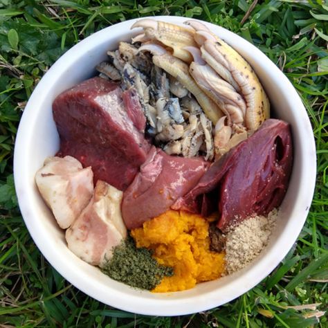 Biologically Appropriate Raw Food (BARF) for Puppes, Raw Diet Types Low Purine Diet, Purine Diet, Dog Raw Diet, Fermented Vegetables, Natural Dog Food, Fat Soluble Vitamins, Raw Dog Food Recipes, Raw Diet, Dog Diet