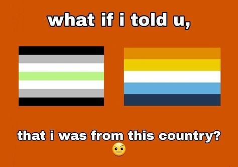 Agender Flag Meaning, Aroace Flag Meaning, Agender Memes Funny, Aroace Meaning, Hidden Aroace Wallpaper, Aroace Bingo, Agender Aesthetic, Aroace Art, Aroace Flag