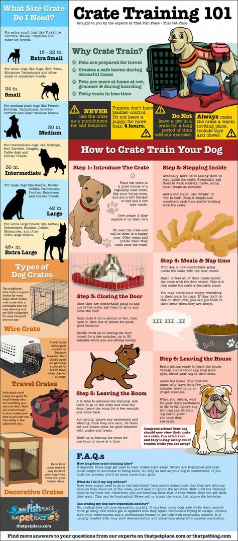 Crate trainings dos and dont's for dog owners [Infographic] -Training your dog to use a crate can help better prepare your canine friend for travel and give him a safe space. -Posted Mar 13, 2014 Crate Training Dog, Puppy Time, Puppies Tips, Fu Dog, Cairn Terriers, Train Your Dog, Crate Training, Puppy Care, Dog Obedience