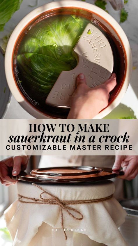 Learn how to make sauerkraut in a crock with our comprehensive master recipe. This step-by-step guide teaches you how to choose a crock, the best cabbages for fermenting sauerkraut, the best salt ratio for making sauerkraut in a crock, and our customizable master recipes for any gallon size fermentation crock. Make traditional sauerkraut or mix in other fruits and vegetables. #sauerkraut #crock #fermentation Homemade Sourkraut, Fermenting Crock Recipes, Sourkrout Recipes, Fermenting Sauerkraut, Sauerkraut Crock, Sauerkraut In A Crock, Make Sauerkraut, Crock Meals, Making Sauerkraut