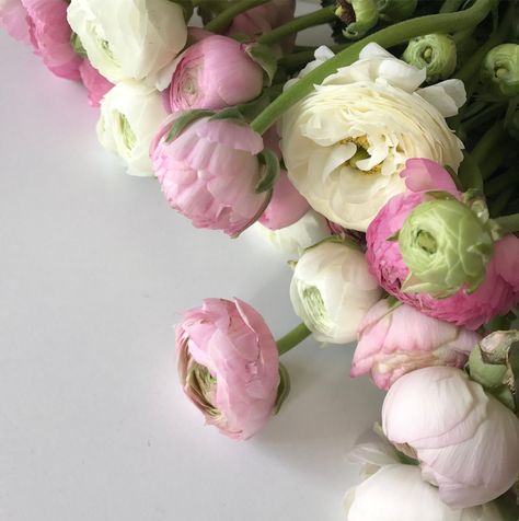 Ranunkel-Liebe Paper Bouquet, Boho Vintage, Cut Flower Garden, Love Garden, Flower Quotes, Ranunculus, Beautiful Bouquet, Colorful Wallpaper, Cut Flowers