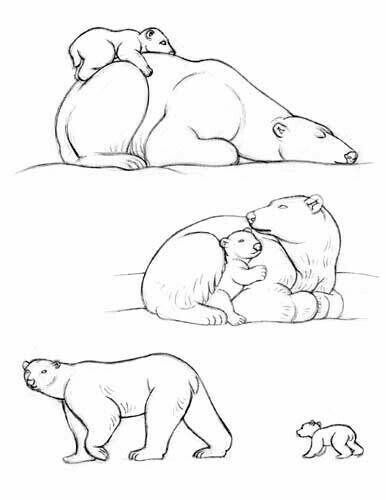 Tattoo Baby Animals Drawings, Polar Bear Drawing, Celtic Bear, Bear Sketch, Polar Bear Art, Baby Animal Drawings, Bear Tattoos, Bear Drawing, Bear Mountain