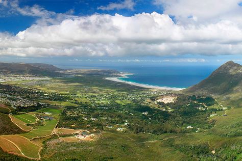 Cape Town Vineyards, Stellenbosch Wineries, Cape Point Vineyards, South Africa Vineyard, Winelands South Africa, South Africa Wine, Cape Point, Seaside Village, Sauvignon Blanc