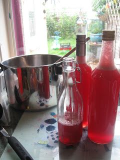 Cherry Plum Recipes, Plum Recipe, Summer Fruit Recipes, Cordial Recipe, Cherry Cordial, Plum Recipes, Cherry Plum, Homemade Liquor, Plum Jam