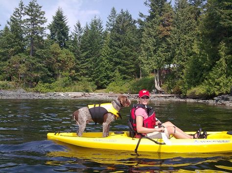 Dog In Kayak, Dog Kayaking, Dog Kayak, Kayak Dog, Napali Coast Kauai, Kayaking With Dogs, Pedal Kayak, Kayaking Tips, Kayak Seats