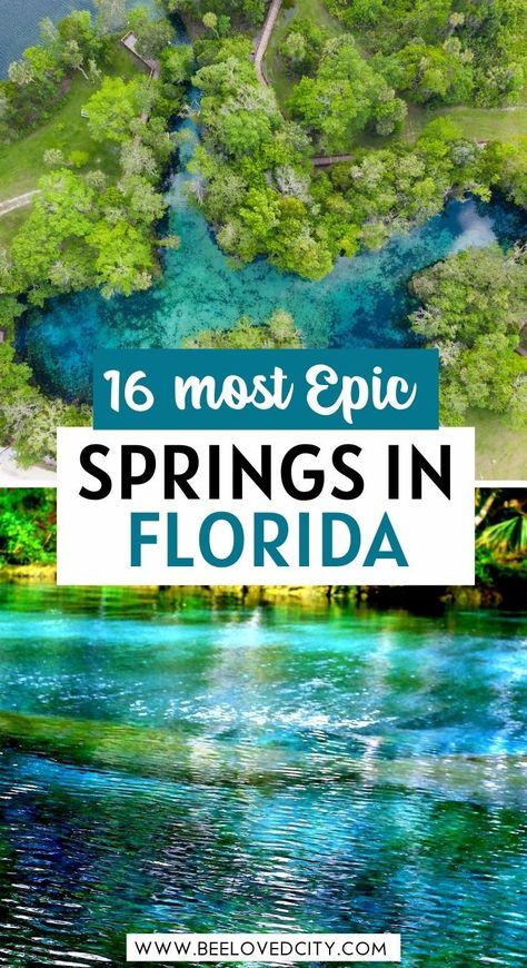 Florida Springs Map, Universal Studios Harry Potter World, Travel Blog Names, Natural Springs In Florida, Springs In Florida, Travel Blogger Instagram, Usa Travel Map, Blogger Aesthetic, Travel Tuesday