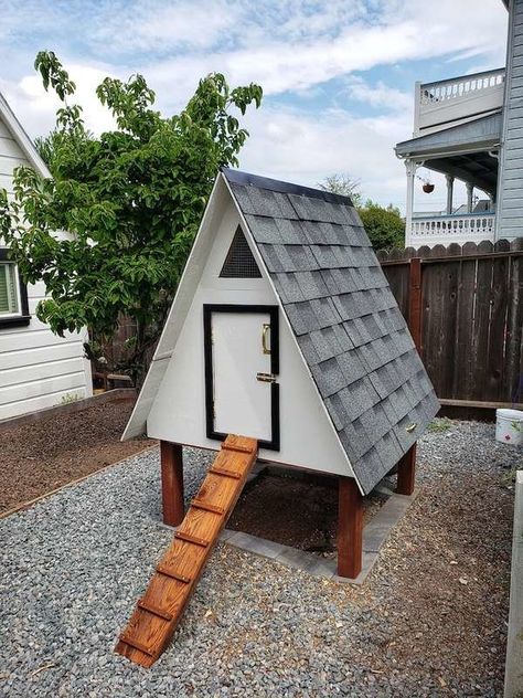 Ducks Coop, Quack Shack, Farm Goals, Chook Pen, A Frame Chicken Coop, Chicken Coop Blueprints, Chicken Roost, Small Chicken Coops, Cute Chicken Coops