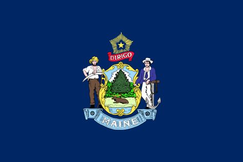 #Homeschool Unit Study for grades 3-8 -- learn about the "Pine Tree State" with books, arts and crafts, recipes, and more! Maine Flag, Maine State, State Of Maine, Historical Newspaper, Jeff Koons, Flag Decal, U.s. States, Flags Of The World, State Flags