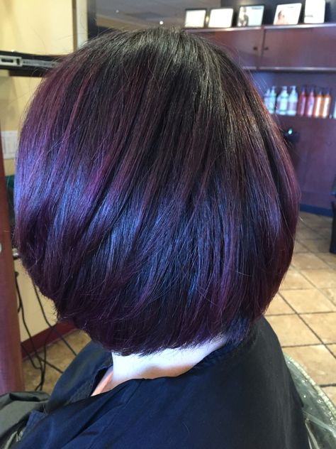 Cool dark base with a smokey purple balayage Andrea@profilodayspa Westboro ma Purple Black Hair Color Short, Deep Purple Hair On Black Women, Purple Ends Hair, Hair Ideas Purple, Violet Brown Hair, Dark Hair Ideas, Fall Haircolor, Baylage Hair, Purple Balayage