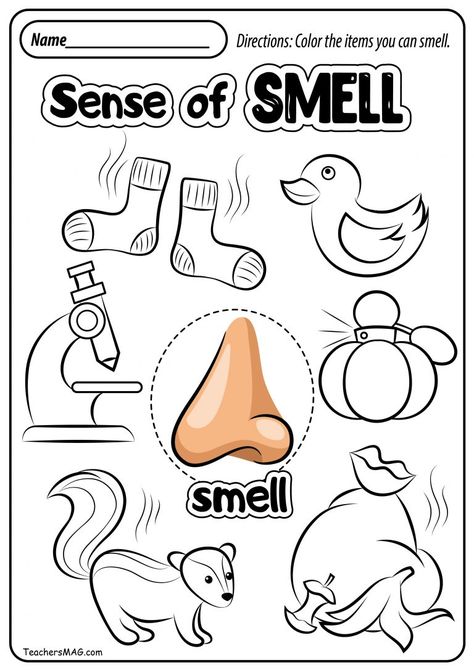 Free Five Senses Worksheets | TeachersMag.com 5 Senses Preschool, 5 Senses Worksheet, Five Senses Worksheet, Five Senses Preschool, Preschool Activity Sheets, 5 Senses Activities, Senses Preschool, My Five Senses, Body Parts Preschool